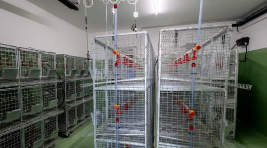 Aki ezt nem érti, lemarad az állattenyésztésben Aki ezt nem érti, lemarad az állattenyésztésben