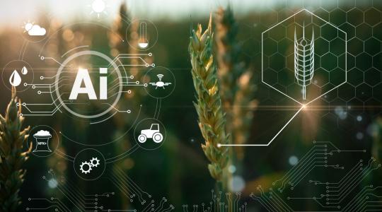 Új korszak az agrártanácsadásban: fókuszban az MI