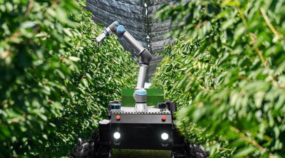 Gyümölcs- és szőlőtermesztés: milyen jövőképet vázolnak fel a szakértők? 