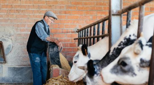Még mindig tabu ez a téma, pedig a gazdaságok nagy részét érintheti ez a probléma