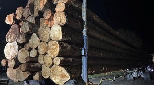Hozzák-viszik a faanyagot: északon fittyet hánynak a súlyhatárra