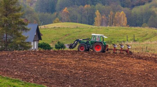 Nem finomkodnak a lengyelek: köteleznék a szupermarketeket a helyi termék árusítására