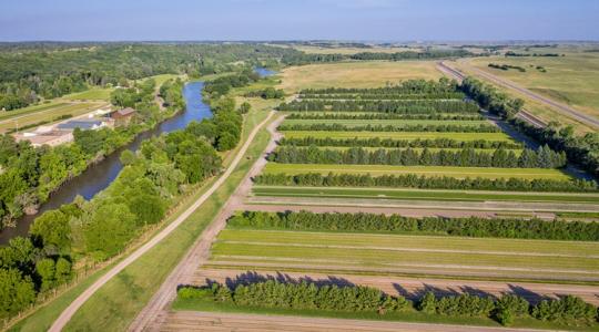 "Keresd a lehetőségeket, de készülj a kudarcra"