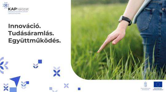 Innovációtól a gyakorlatig – hidat épít az ITE az agráriumban 