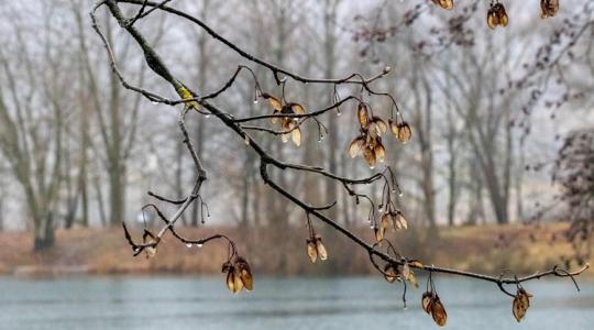 3 napos időjárás: Örülnek az esőnek a gazdák, de nem pont így gondolták