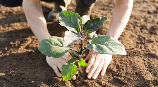 Hiba lenne kihagyni: ingyenes szakmai nap segít eligazodni egy fontos pályázaton