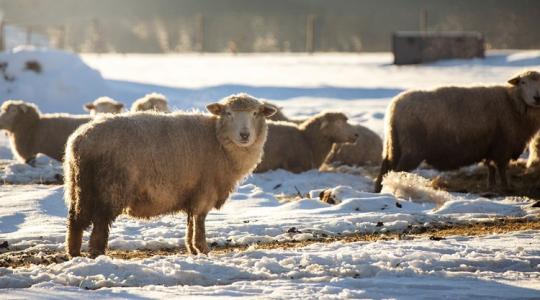 3 napos időjárás: Unod a nyirkos időt? Így fordulunk rá a hétvégére!