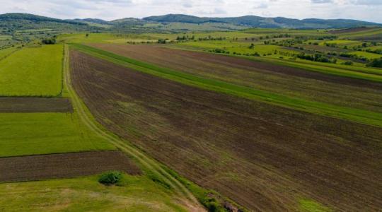 Hihetetlen, de igaz: a nem termelő terület most pénzt hoz