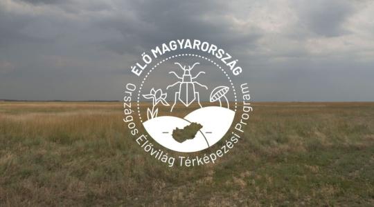 Most érdemes beszállni: új élővilág-térképezési program indul