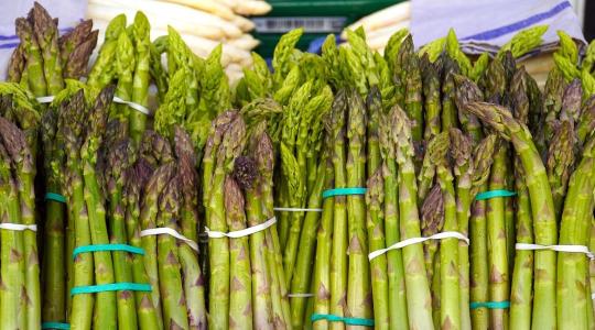 A tél sem akadály: már szedik a francia spárgát