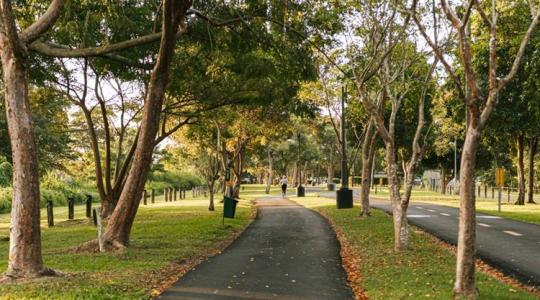 Ezért veszélyes a városi talaj lassú pusztulása 