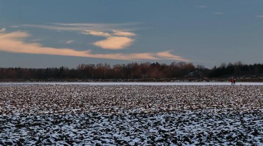 Aki most kimenne a földekre, jó, ha ezt tudja