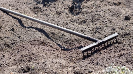 Brutális szárazsággal indul a március: öntözzünk vagy várjunk az égiekre?