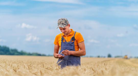 Ki viszi tovább a gazdaságot? Milliárdos segítség érkezett a generációváltáshoz