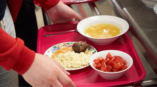 Döntött a Nébih és a KÖZSZÖV: Ezek a hazai alapanyagok hódítják meg a menzákat