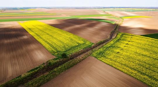 Elúszhat a földügylet, ha rosszul értelmezed a fogalmakat