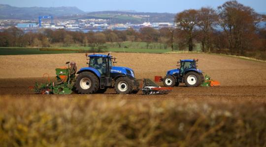 A vetés nem ismer kegyelmet: Miért ezen az egy napon dől el az egész évi profit?