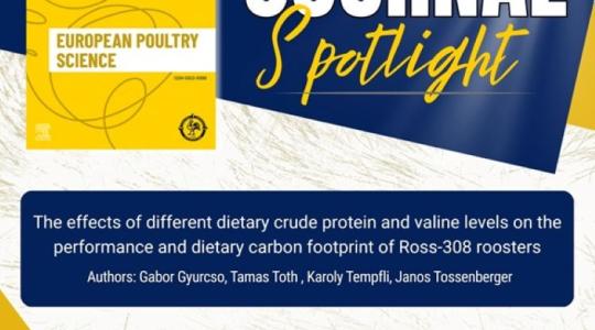 Magyar tudás lett Európa legjobbja: Világra szóló siker az óvári baromfi-kutatásban