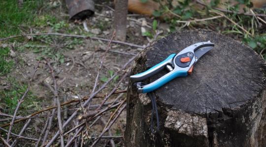 A metszés 7 legdrágább tévedése – amit a profik sosem követnek el