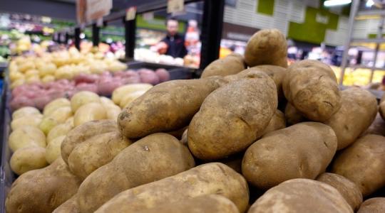 Ha így néz ki a krumpli, eszedbe se jusson megenni! Mérgező lehet!