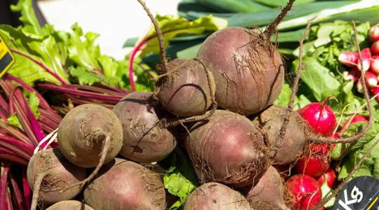 Ömlik a cékla a piacra, fejvesztve ürítik az ukrán raktárakat