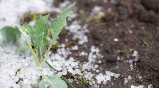 Már csak ez hiányzott: jégesőt kapunk ma a nyakunkba