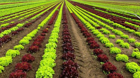 Kieshet az európai piacról, aki nem méri a környezeti lábnyomát: jön az egységes zöld-pontszám