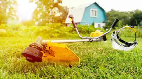 Ne ess neki a gyepnek a fűnyíróval! Ezt feltétlenül várd meg!