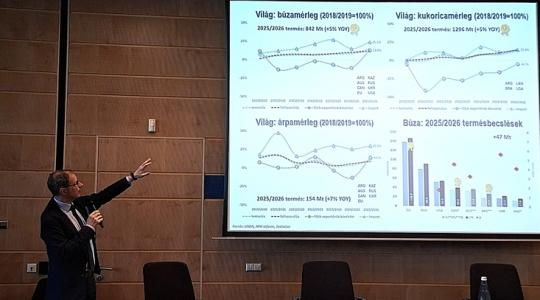 Potori: Nagy fordulat készül a kukorica piacán!