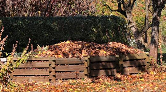 Ki ne dobd ezt a kerti hulladékot – aranyat ér a talajnak