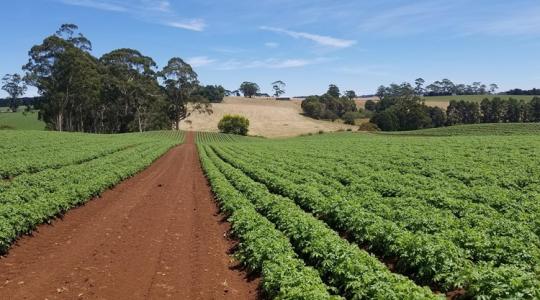 Meglepő, milyen gyorsan kimerülhet a talaj