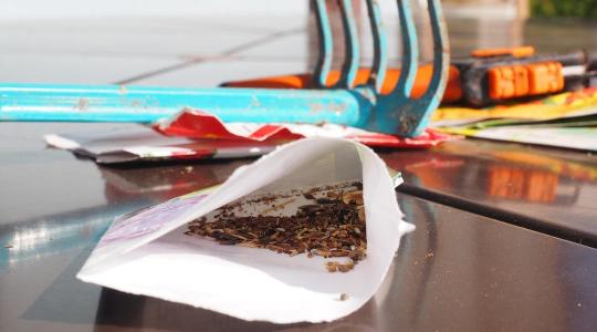 Vetési mélység: miért fontos a megfelelő mélység?