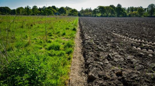 Talaj lazítása tavasszal: mikor és hogyan?