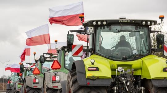 Szigorú szabályok nekünk, szabad rablás a többieknek?