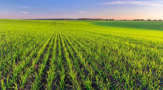 Agrometeorológia: Üres kutak, poros barázdák –  visszatér a rettegett aszály az Alföldre?