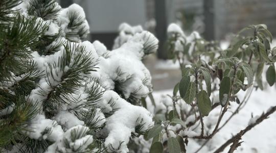 Mit NE csinálj, ha leesik a nagy hó februárban?
