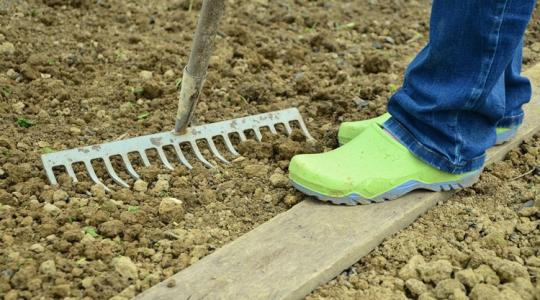 A kert 10 legfontosabb döntése tél végén – ezen múlik a tavasz