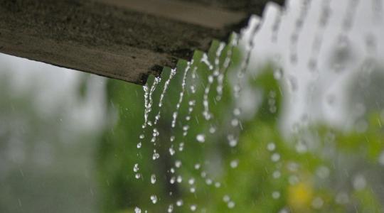 Esővíz gyűjtés a kertben: milyen rendszer a legjobb?