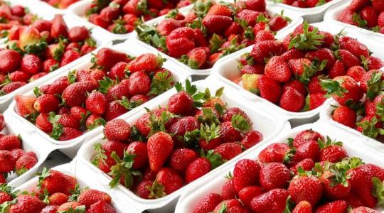 Vége a kiszolgáltatottságnak? Jogszabály védi ezentúl a gazdák profitját az EU-ban