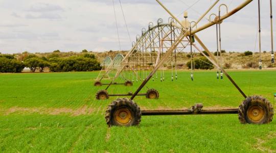 Ingyenes marad az öntözővíz 2026-ban is