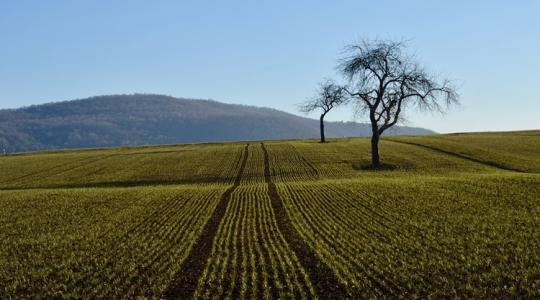 Időjárás: Berobbannak a 20 fokhoz közeli csúcsok +VIDEÓ