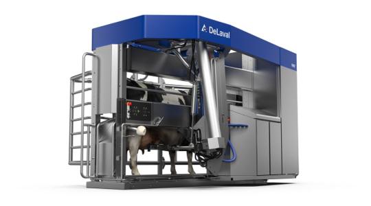 Másodpercekből kapacitás: Hogyan növeli a DeLaval VMS Flow-Responsive™ Milking (tejfolyás-vezérelt fejéstechnológia) a robot teljesítményét?