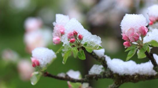 Fagy, aszály, vihar: egy rossz szezon elég lehet – készülj fel időben