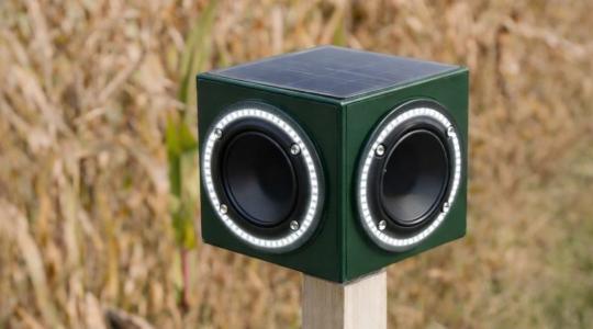 Humánus vadriasztás a gyakorlatban: mi működik hosszú távon?