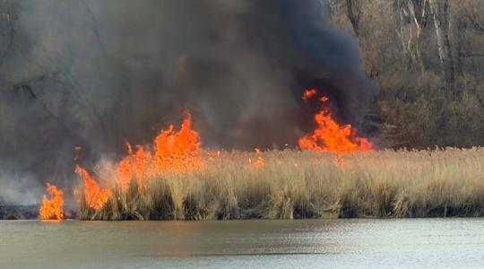 Pokoli tűz: hatalmas lángokkal égett a nádas +VIDEÓ