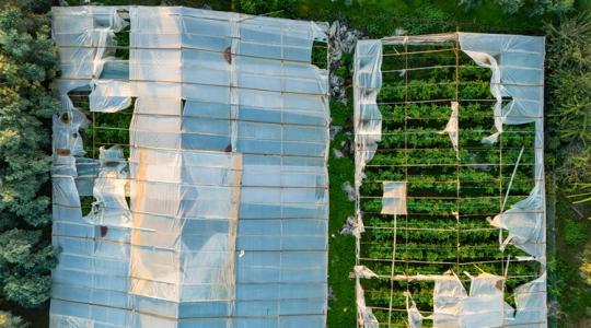 Megállt az export, csúszik a szezon: brutális károk a mediterrán térségben