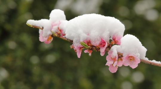 Aszály, járvány, piacvesztés? Így védi a gazdákat a krízisbiztosítás