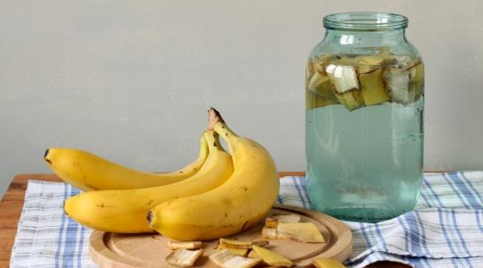 Csodás orchideát szeretnél? Adj neki banánt!