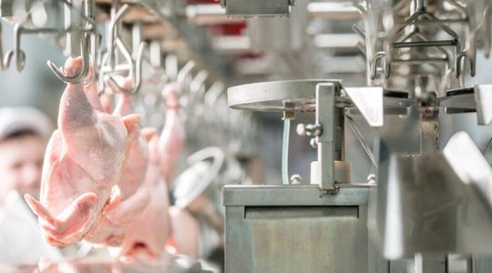 Veszélyben a haszon: áresés mellett kell talpon maradni