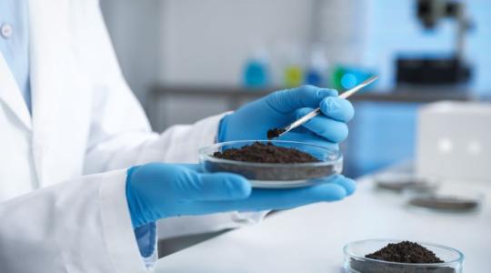 Hihetetlen, de igaz: a talajból készülhet az új szuperalapanyag